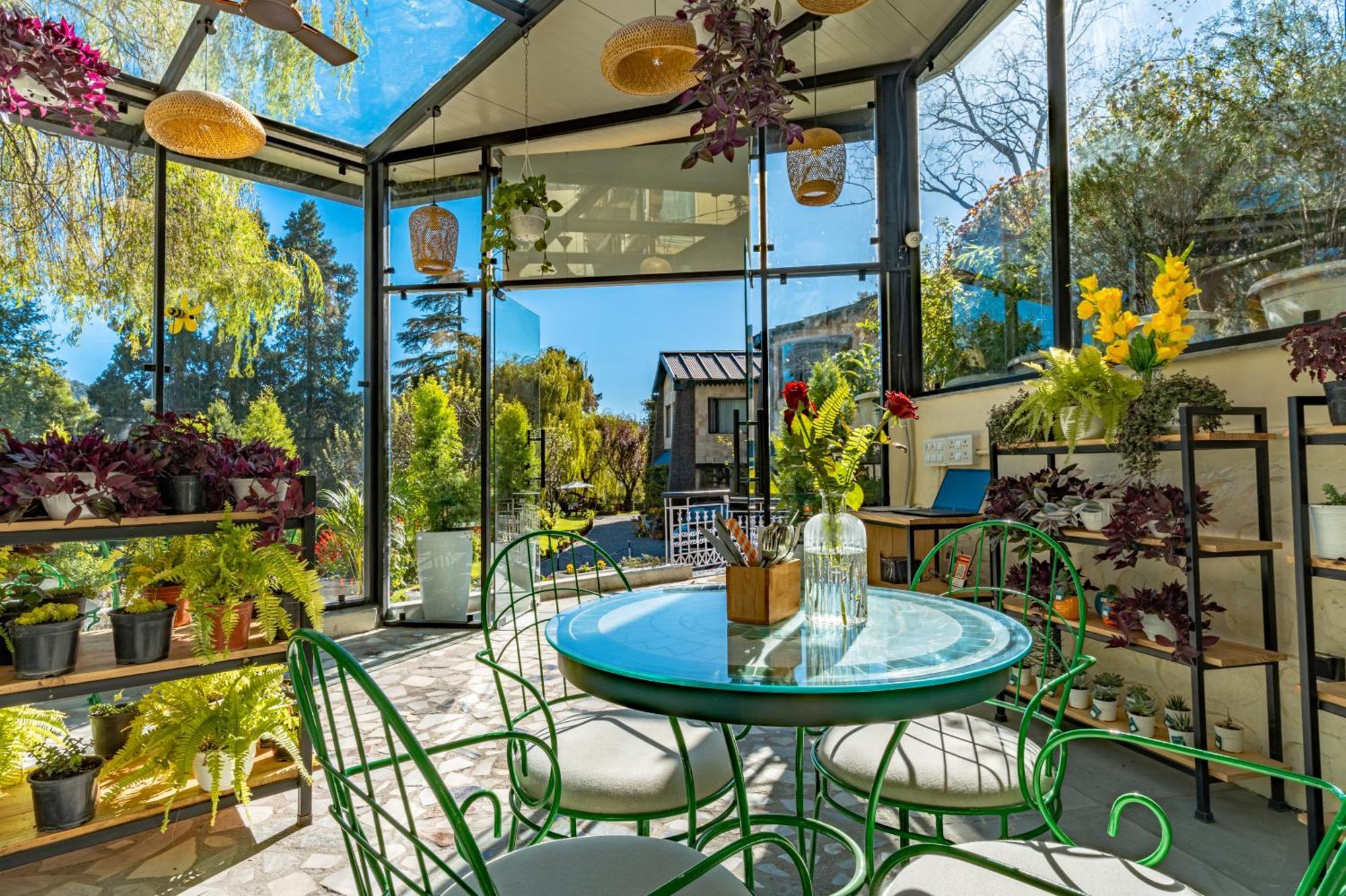 Shervani Hilltop Resort Nainital Buitenkant foto