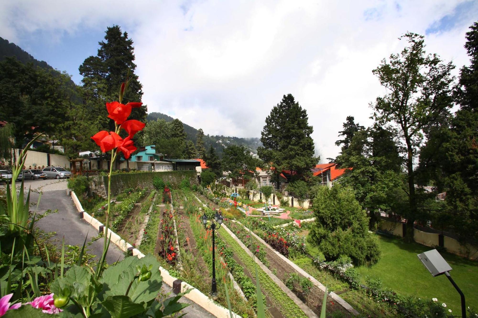 Shervani Hilltop Resort Nainital Buitenkant foto